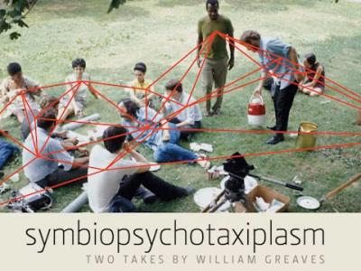 Symbiopsychotaxiplasm: il folle esperimento sociale di William Greaves
